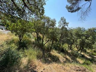 Finca rústica  Hortensia. Terreno en venta en santa cristina daro