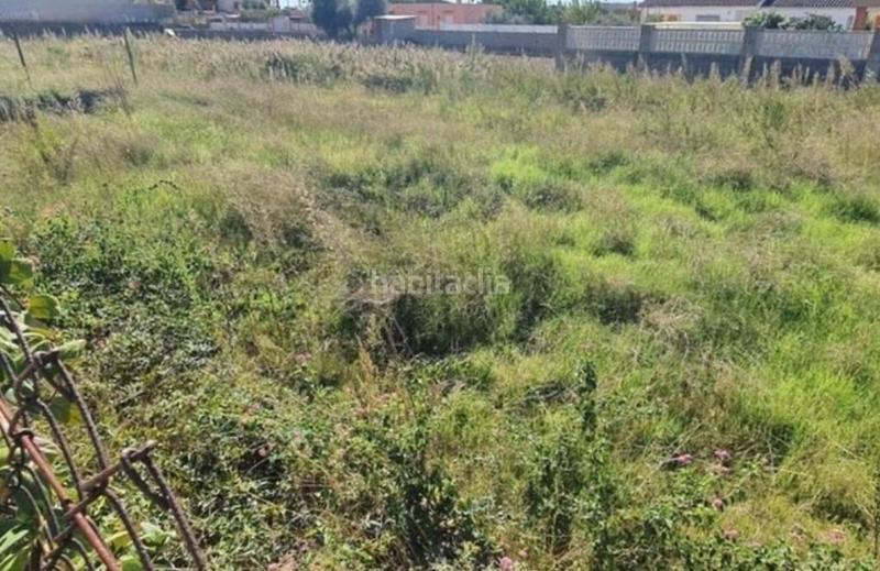 Foto cc6e5d40-c08c-4668-9229-2af111721a4e. Terreno residencial en Playa Burriana