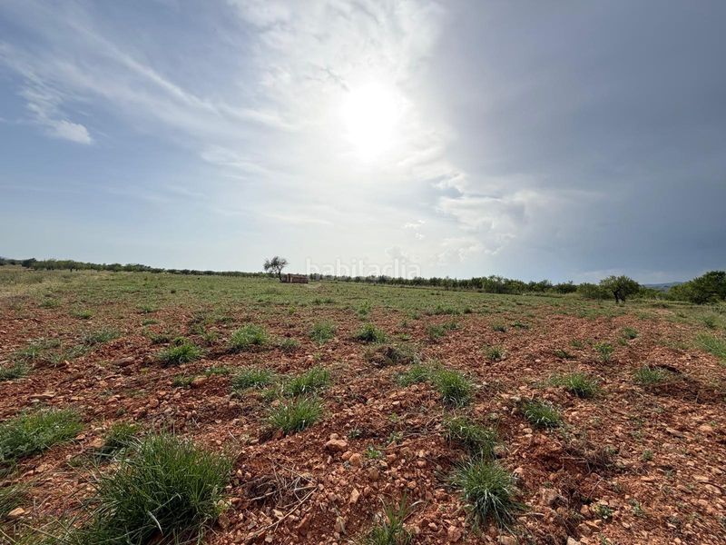 Foto 5e5a77e6-17dc-4549-b071-b62306f0d4d7. Finca rústica a Benlloc