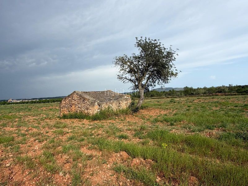 Foto b058e92b-b2c8-42cc-b830-f6697e8af969. Finca rústica a Benlloc