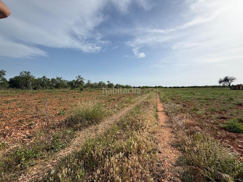 Foto c593d3a0-506b-4724-a61b-4520d0c3c40c. Finca rústica a Benlloc