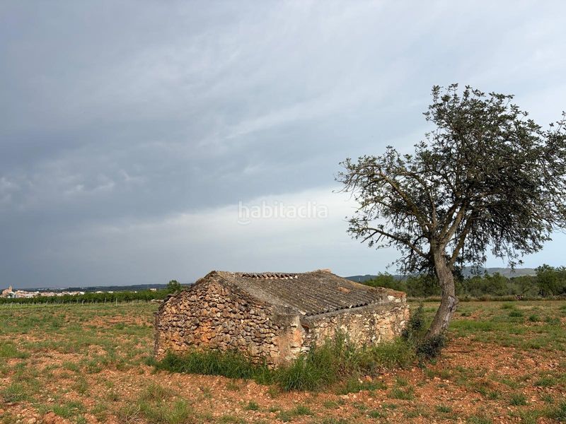 Foto f9de9d2a-9f50-46b2-bb14-d15815b84dc0. Finca rústica a Benlloc