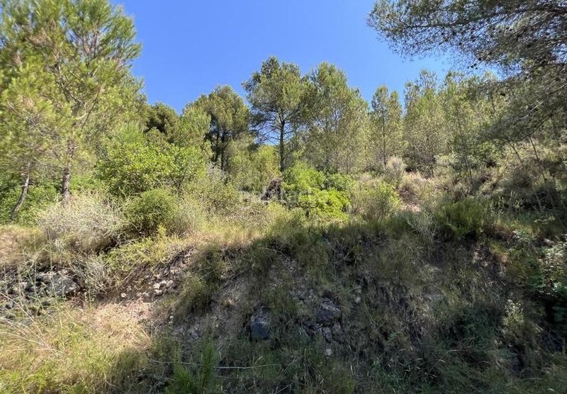 Foto bdae4b8c-daf7-4c7d-afb3-76c9e1f6a955. Finca rústica a Borriol