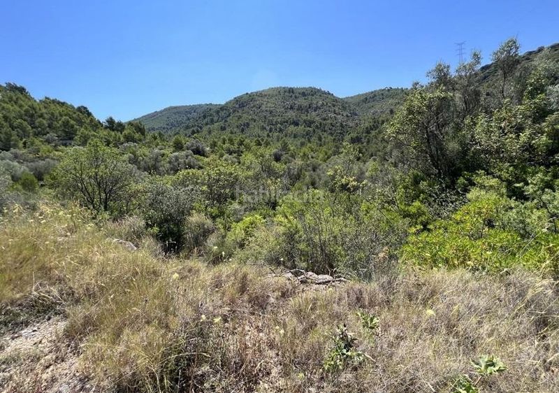 Foto e5e1342a-6f3c-43eb-b563-a7bce389c495. Finca rústica a Borriol
