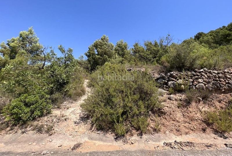 Foto f803ae0b-3c9c-4807-9534-aa9610706c58. Finca rústica a Borriol
