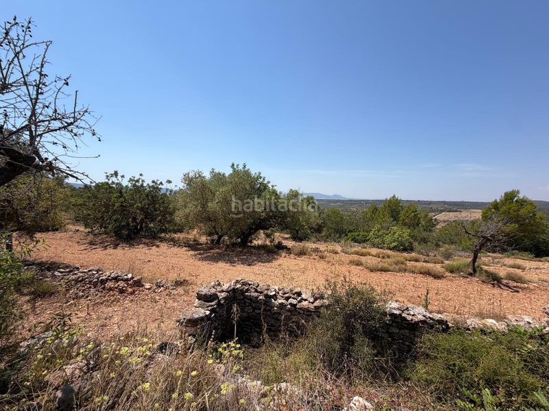 Foto 404e2953-2e84-444e-9fd6-37580db2ade7. Finca rústica a Sierra Engarcerán