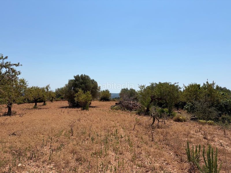 Foto 9d8775b9-9da6-4f0a-980c-52ad20713860. Finca rústica a Sierra Engarcerán