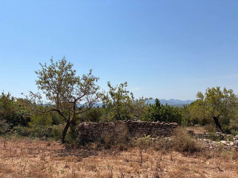 Foto cebd3c6c-ca60-4235-9d84-667338fffc00. Finca rústica a Sierra Engarcerán