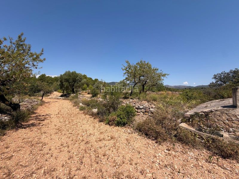 Foto e7f2d14b-9dfb-48a0-ab4e-3896c1babdc6. Finca rústica a Sierra Engarcerán