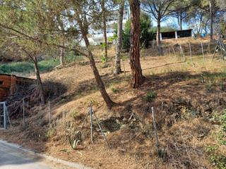 Residential Plot  Carrer serra d'or