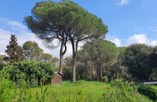 Terreny residencial a Lliçà d´Amunt