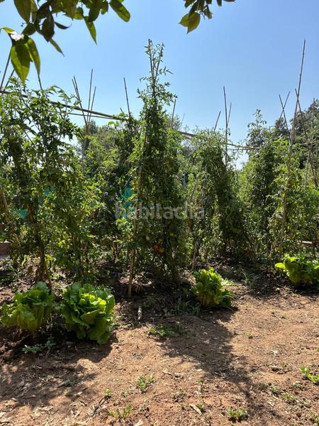 Foto d001d096-91ec-4dfc-b2ab-19b32134b572. House with pool in Bigues i Riells del Fai
