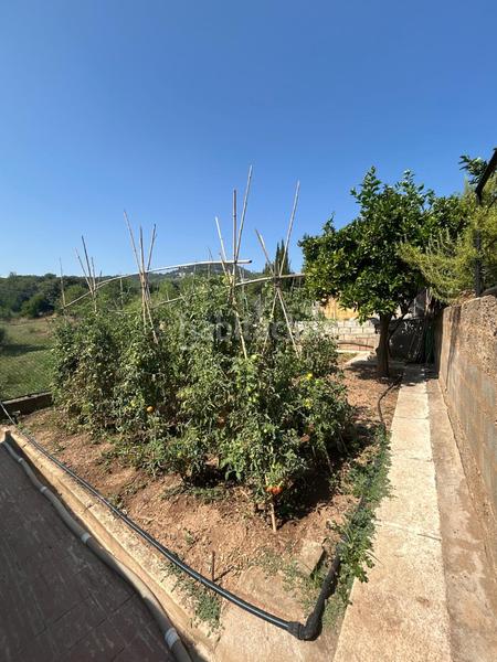 Foto d5071c34-c78e-4eb6-8a2e-03b82dd532f9. House with pool in Bigues i Riells del Fai