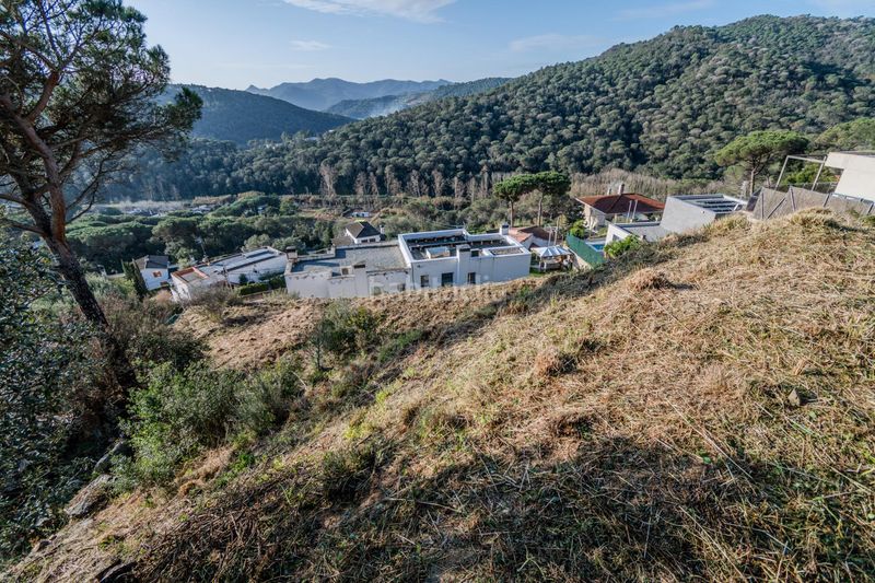Foto 1baeebf1-3625-4365-b94c-73d92d7631c2. Terreny residencial a Dosrius poble Dosrius