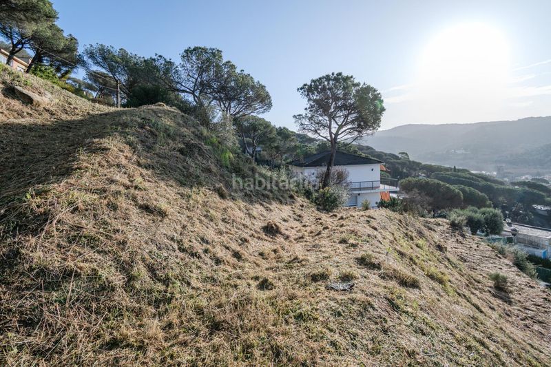 Foto 29b3ed4d-e9ad-4bd8-8b3a-d88f75b97f64. Terreny residencial a Dosrius poble Dosrius