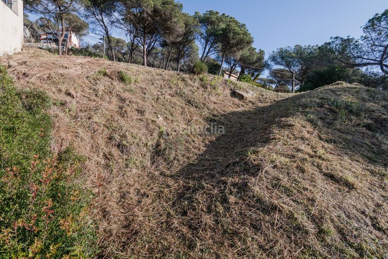 Foto 4263c176-2d2d-49c4-b9dc-be2617040019. Terreny residencial a Dosrius poble Dosrius