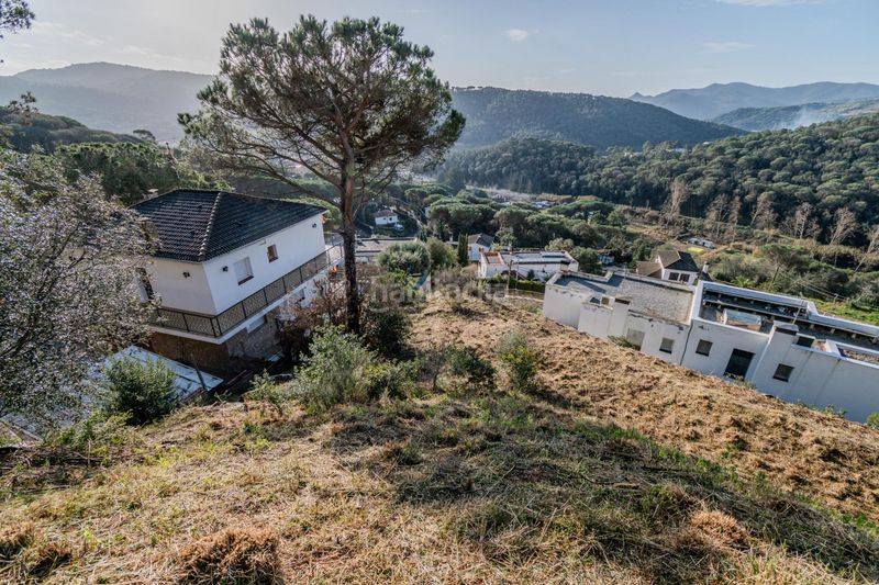 Foto 4543b659-b236-4e2e-bf8e-381765a12a64. Terreny residencial a Dosrius poble Dosrius