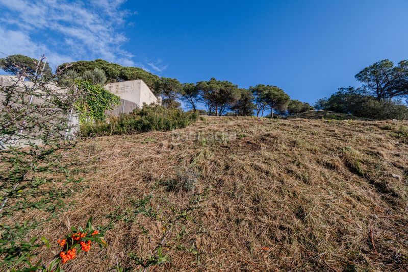 Foto ddb7df87-f02e-4cf4-b563-87781e025bbc. Terreny residencial a Dosrius poble Dosrius