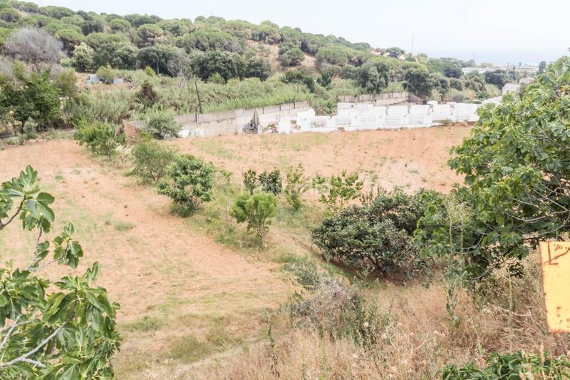 Foto 23c470c6-b7cf-44bd-a0e0-cd2e7f861933. Finca rústica venta de dos fincas rústicas , cerca de la autopista en Mataró