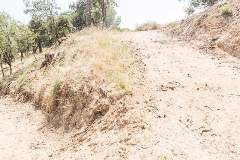 Foto 4b9e3862-3720-43da-9a30-96744dfafe16. Finca rústica venta de dos fincas rústicas , cerca de la autopista en Mataró