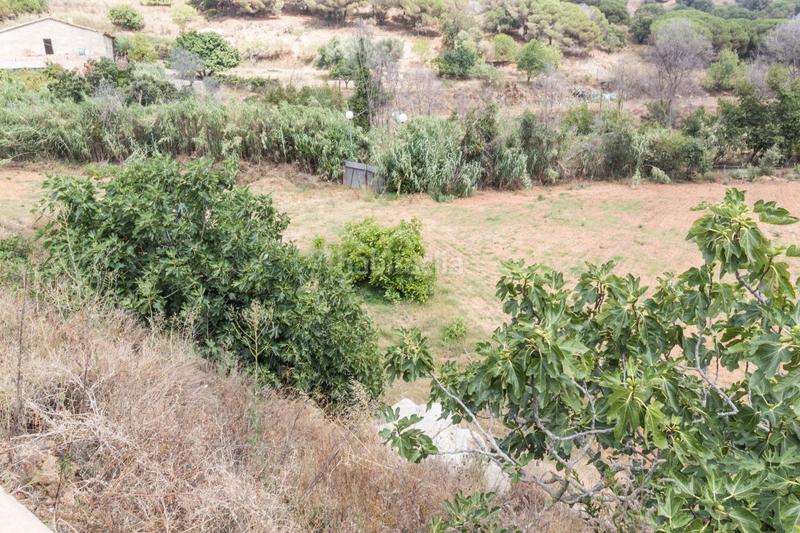 Foto bb169cca-46aa-48a6-b213-4d88c5ab0620. Finca rústica venta de dos fincas rústicas , cerca de la autopista en Mataró