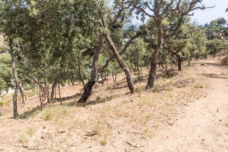 Foto c4897d24-e1bb-4651-ba81-520b246aed42. Finca rústica venta de dos fincas rústicas , cerca de la autopista en Mataró