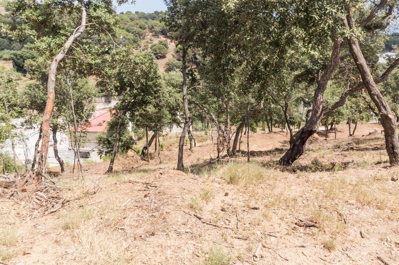 Foto df935587-deca-4218-9dfd-1cb576e379cd. Finca rústica venta de dos fincas rústicas , cerca de la autopista en Mataró