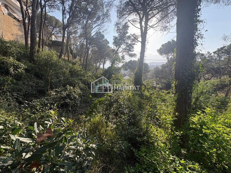 Foto 06afb1c6-4be3-4b8d-838a-ee8b62807dcb. Terreny residencial a Cabrils
