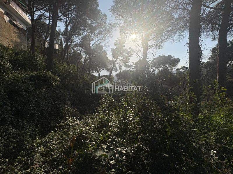 Foto 634dedd3-e57e-4782-8e02-4b3e83caf784. Terreny residencial a Cabrils