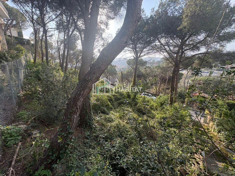Foto 72152d68-2517-4568-a3d9-7cda153e8000. Terreny residencial a Cabrils