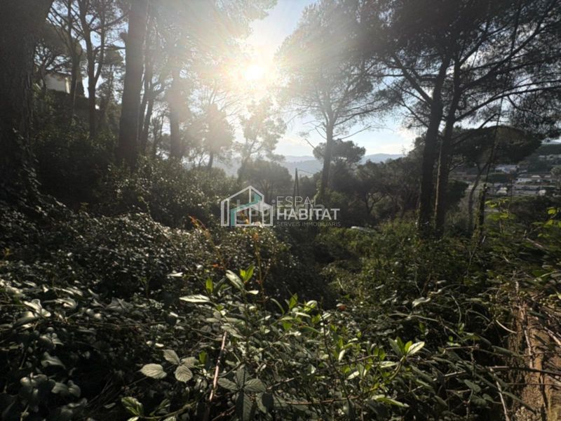 Foto 86a5ee48-f2fb-4360-a02f-7a552dab64e9. Terreny residencial a Cabrils