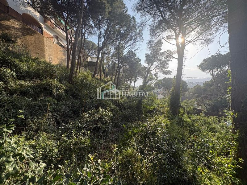 Foto a5781f47-c1e6-4ec4-85b0-9be7b8c4bf5f. Terreny residencial a Cabrils