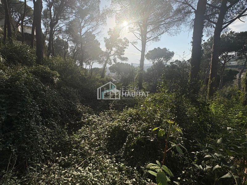 Foto bfc2f356-e1b4-4d43-899e-d7e873f6f9aa. Terreny residencial a Cabrils