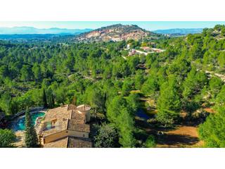 Local Comercial en Calle Pedrapiquers (Dels)