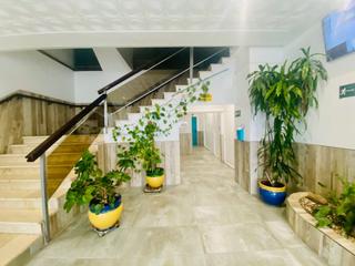 Apartament a Delta muga 9. Estudio reformado en 1 lnea de mar
