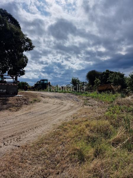 Foto ac100989-20ce-4495-baa9-0695c54fa7a7. Finca rústica en lloc sector pp7 4p ¡oportunidad única ! se vende masía can valeri en Pineda de Mar