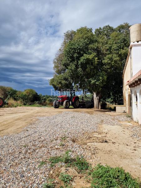 Foto cbb4d981-a52f-4dca-a6c5-a4d9a25e8a11. Finca rústica en lloc sector pp7 4p ¡oportunidad única ! se vende masía can valeri en Pineda de Mar