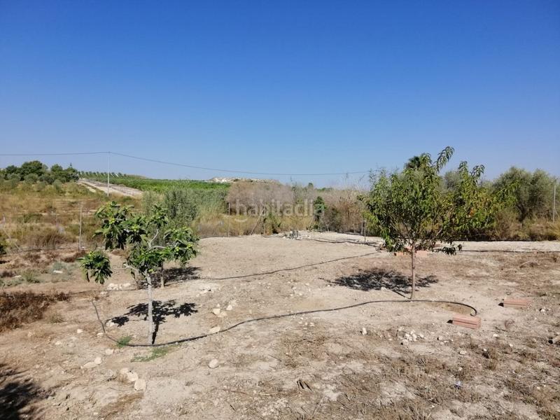 Foto 963db786-f851-400f-8bc6-2a67ff2016d8. Bauernhof in Fortuna