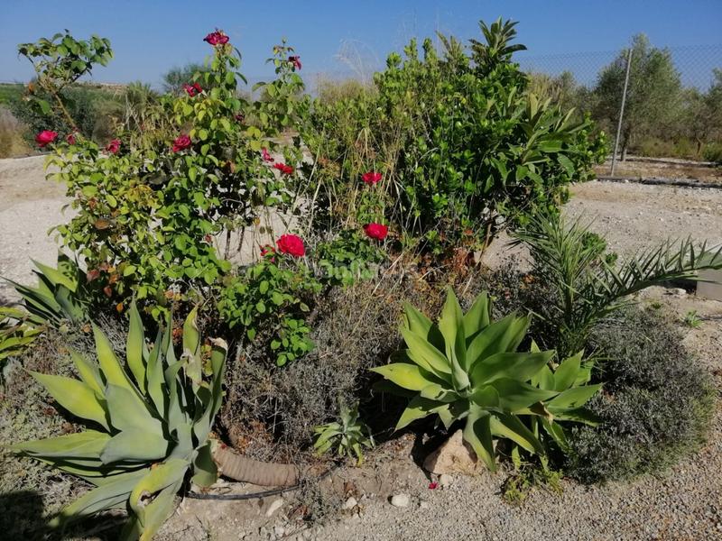 Foto c1e4a402-99fe-4eb7-8a39-2067b2268619. Bauernhof in Fortuna