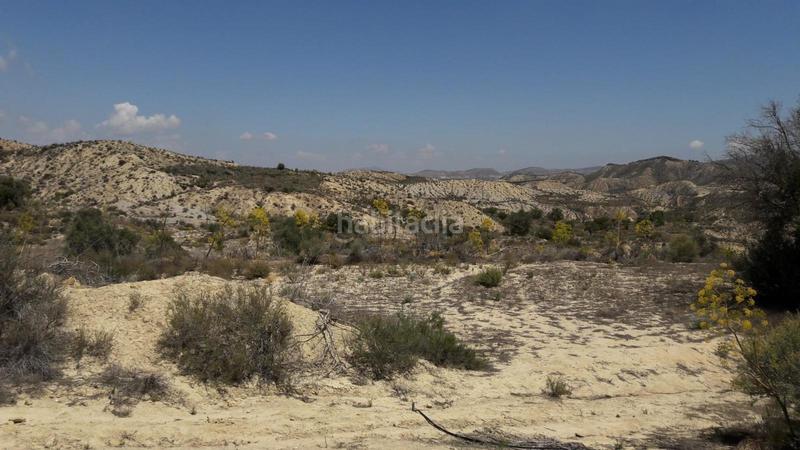 Foto b5eafa99-0b79-4383-ae58-d0b3f9dab17e. Propriété dans Cañadas de San Pedro Murcia