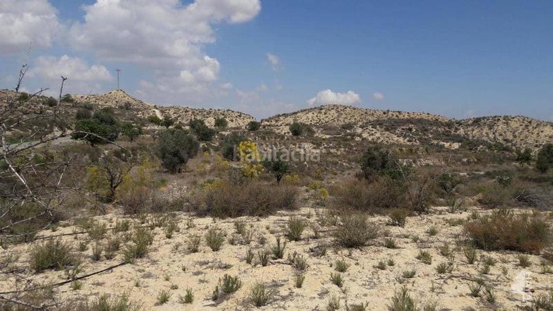 Foto f839b449-48a9-441a-bae5-1d266e879a6a. Propriété dans Cañadas de San Pedro Murcia
