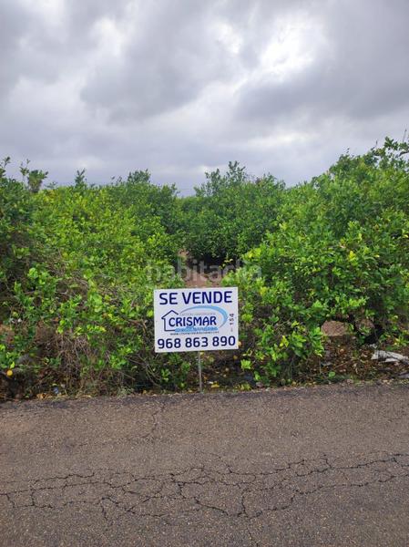 Foto ff568bbc-8556-4034-ba90-2c4ab5a76440. Terreno residencial parcela urbana en venta en Monteagudo en Murcia