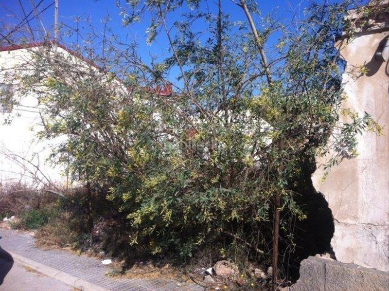 Foto cd3f1f2e-4195-4172-866f-47cd63786721. Residential plot in Cobatillas Murcia