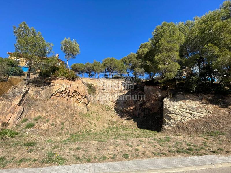 Foto 281dec69-671c-4ec7-9cb5-d03b16633416. Fondo rustico in Santa Cristina-Sant Francesc Blanes