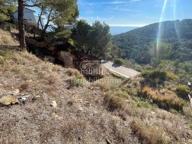 Foto 2847b8a7-5844-4dde-9769-041b7ab4b489. Fondo rustico in Santa Cristina-Sant Francesc Blanes