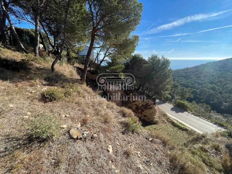 Foto 491bd2e2-b01b-46c4-9a61-ccdf96c3fe48. Fondo rustico in Santa Cristina-Sant Francesc Blanes