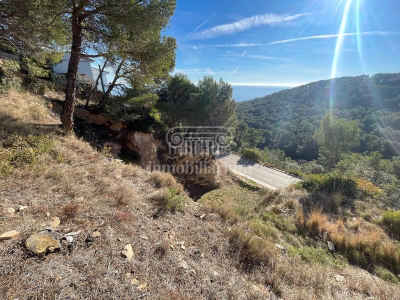 Foto 4e94c96d-f16f-44d9-b439-3d8b9b587341. Fondo rustico in Santa Cristina-Sant Francesc Blanes