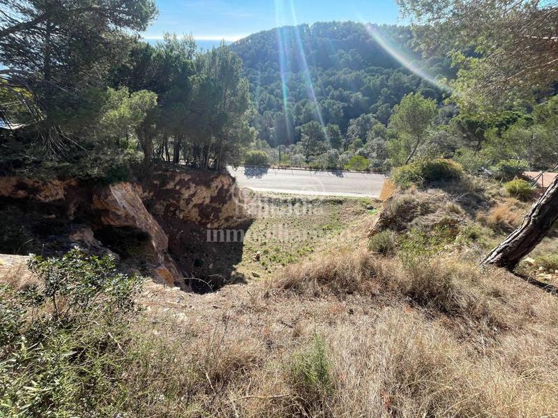 Foto a3a01f37-b087-4653-bd6a-454813bb9007. Fondo rustico in Santa Cristina-Sant Francesc Blanes