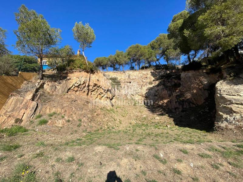 Foto a5eee927-0814-4708-b756-3076a0a1e4bf. Fondo rustico in Santa Cristina-Sant Francesc Blanes