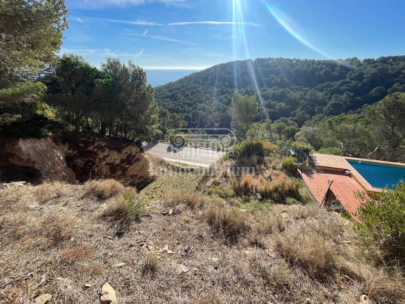 Foto c7296316-483d-4751-875f-51ece99c0169. Fondo rustico in Santa Cristina-Sant Francesc Blanes